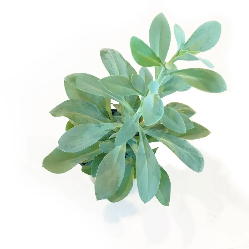 Trusted lawn mowing service for outdoor upgrades in Rosendale, NY by Victoria Gardens