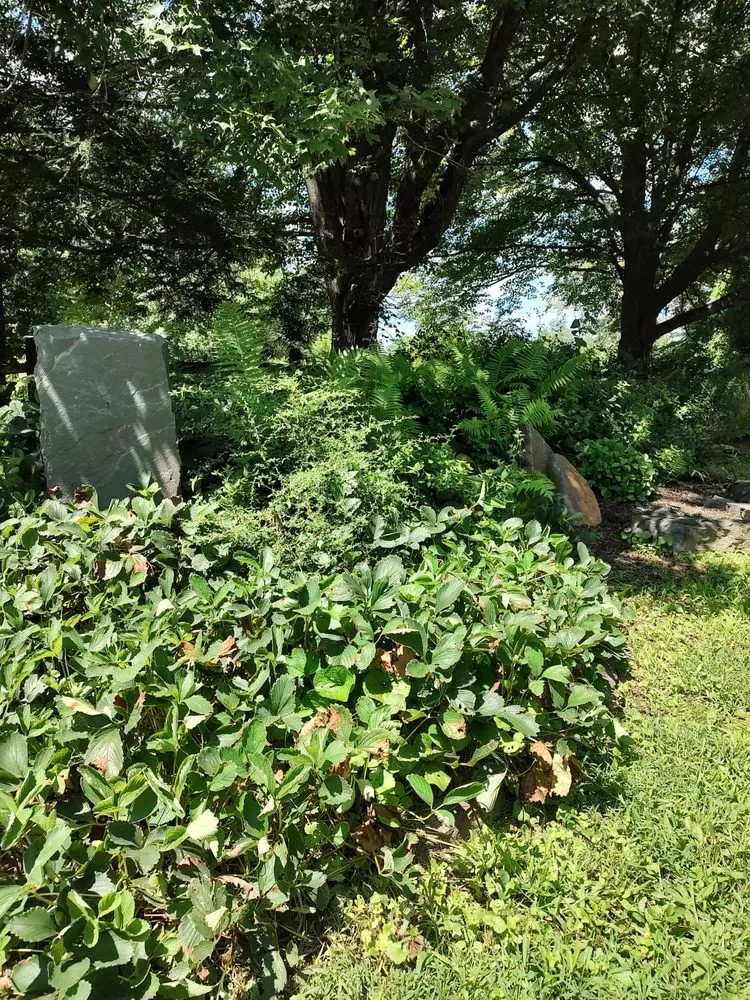 Top-rated yard cleanup service in Rosendale, NY by Victoria Gardens