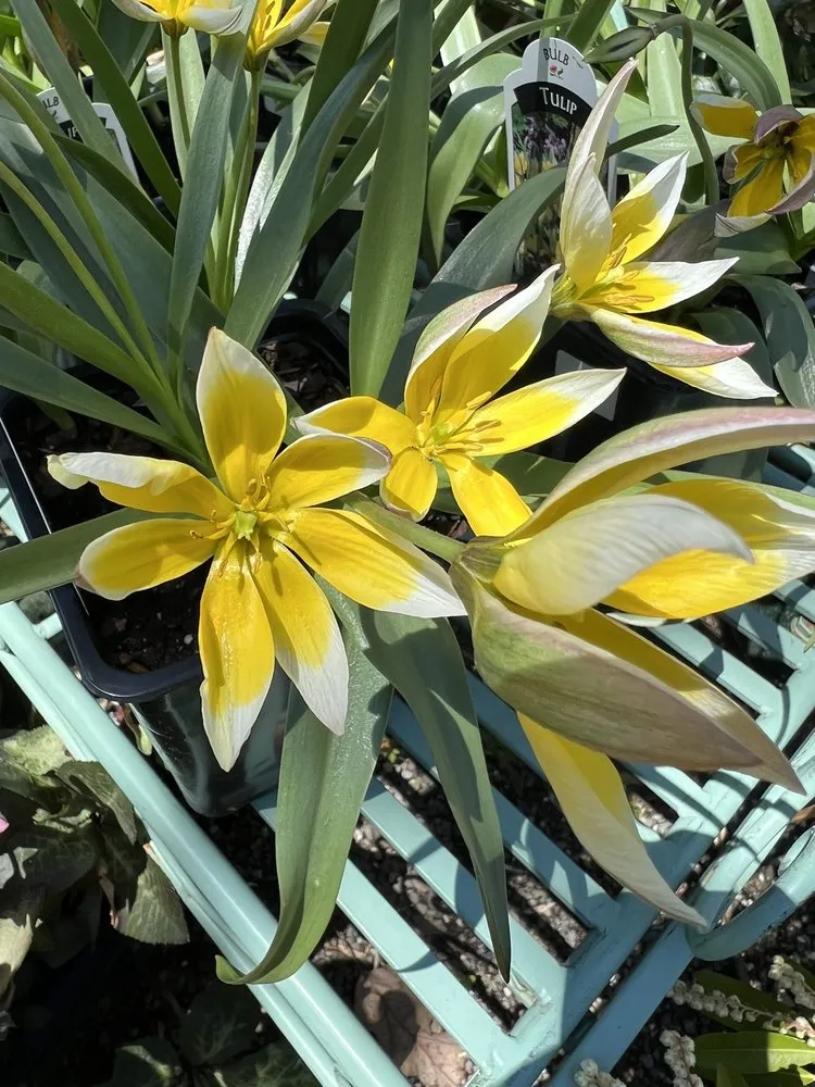 Custom landscaping services in Rosendale, NY by Victoria Gardens