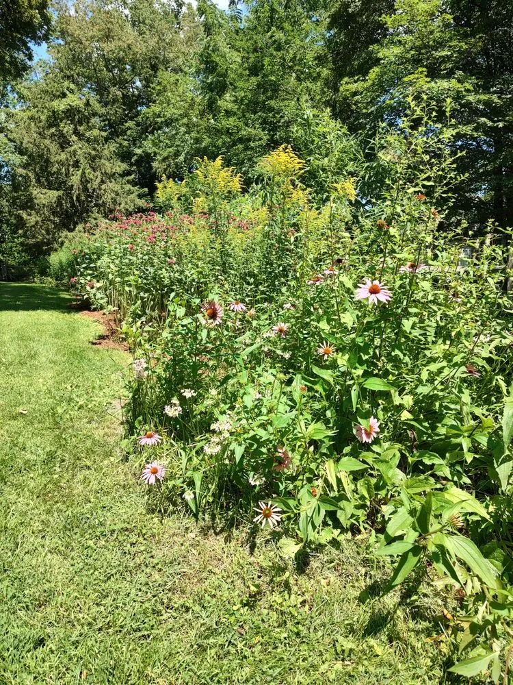 Top-rated landscape installation for residential properties in Rosendale, NY by Victoria Gardens