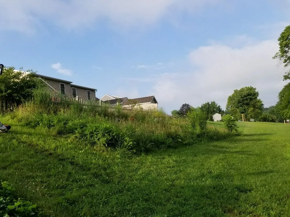 Professional landscaping services in Lancaster, PA - Victoriano Contracting