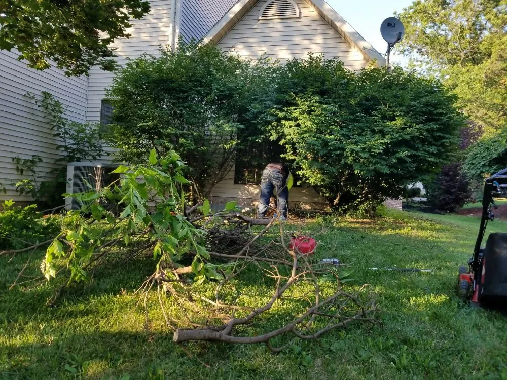 Expert yard cleanup service for homes in Lancaster, PA by Victoriano Contracting