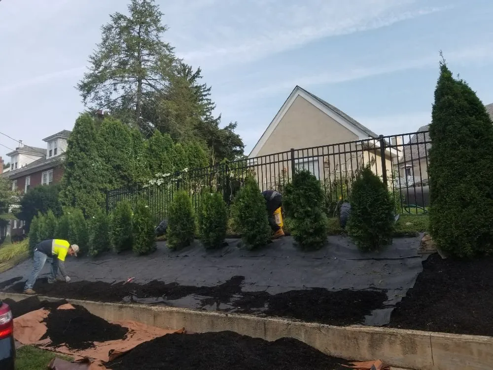 Professional yard cleanup service experts serving Lancaster, PA - Victoriano Contracting