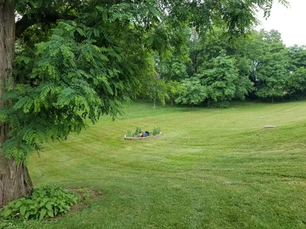 Affordable yard maintenance near you across Lancaster, PA - Victoriano Contracting