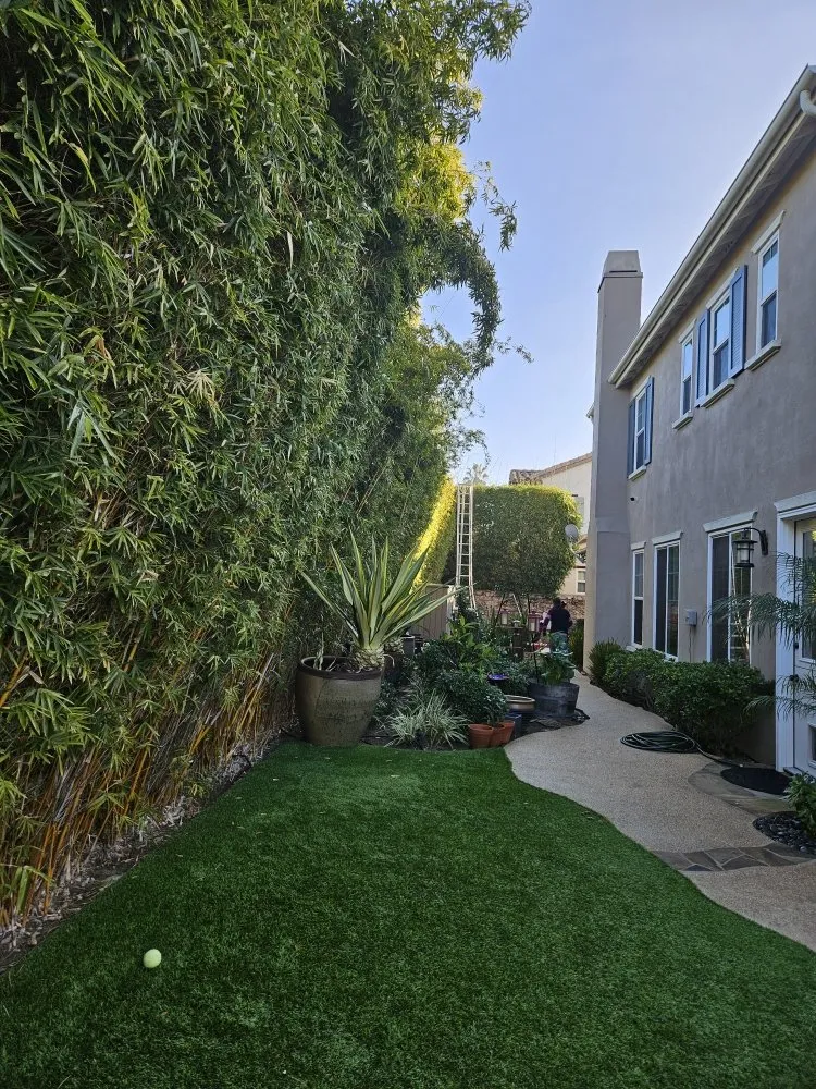 Local lawn mowing service for homes across Lake Elsinore, CA - Victorias Landscaping and Trees Service