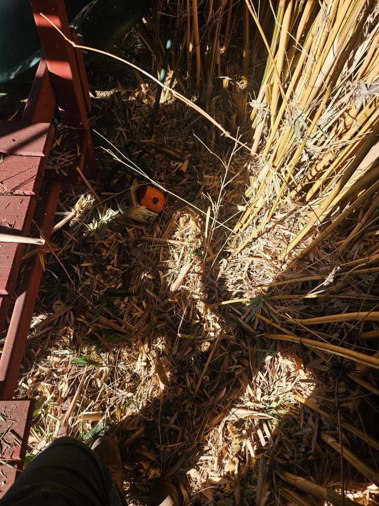 Professional landscape installation experts serving Lake Elsinore, CA - Victorias Landscaping and Trees Service