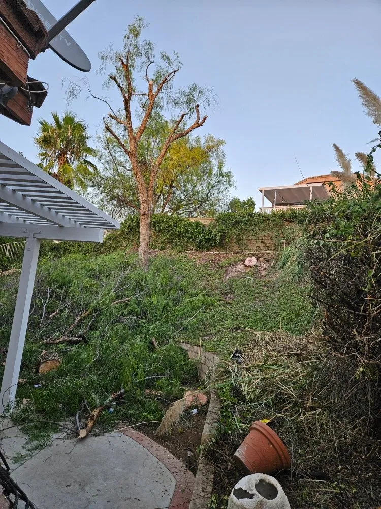 Local yard maintenance experts serving Lake Elsinore, CA - Victorias Landscaping and Trees Service