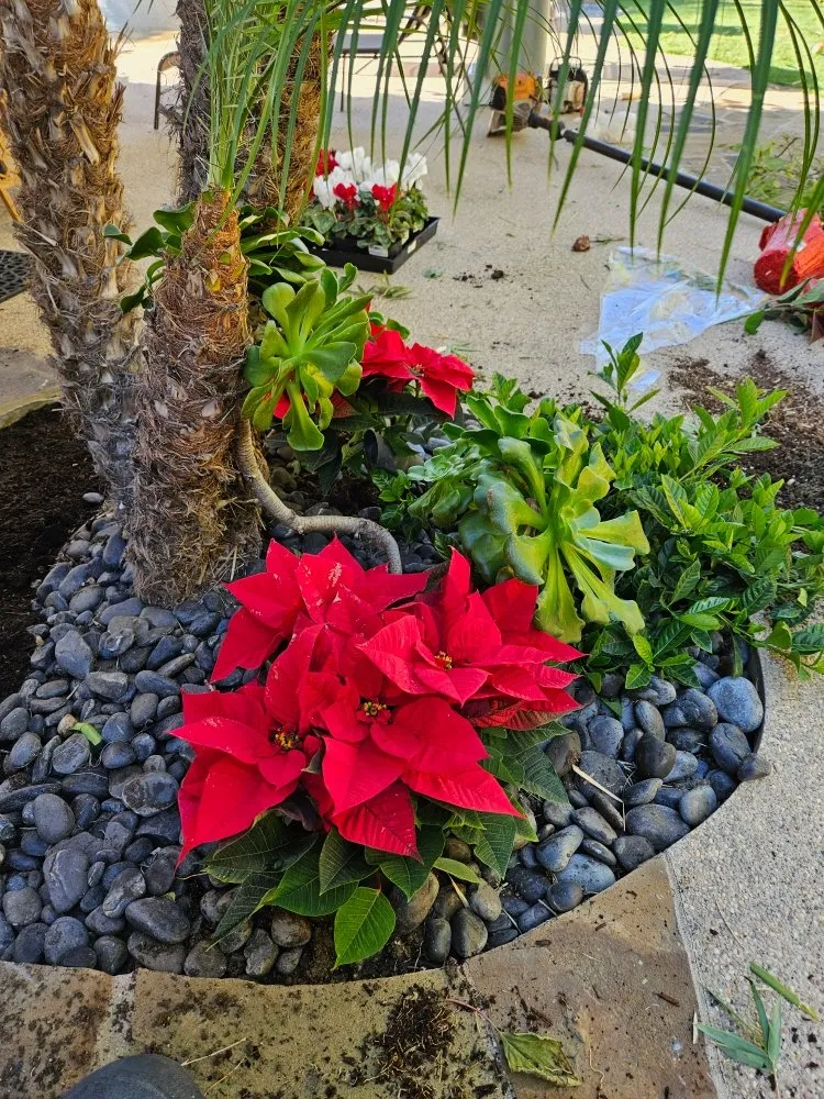 Top-rated landscape design experts serving Lake Elsinore, CA - Victorias Landscaping and Trees Service