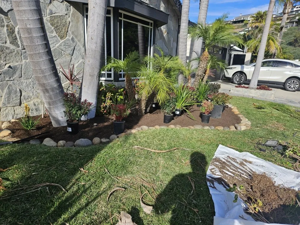 Top-rated yard cleanup service for residential properties across Lake Elsinore, CA - Victorias Landscaping and Trees Service