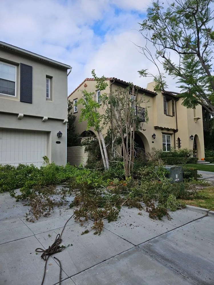 Custom landscape design experts serving Lake Elsinore, CA - Victorias Landscaping and Trees Service