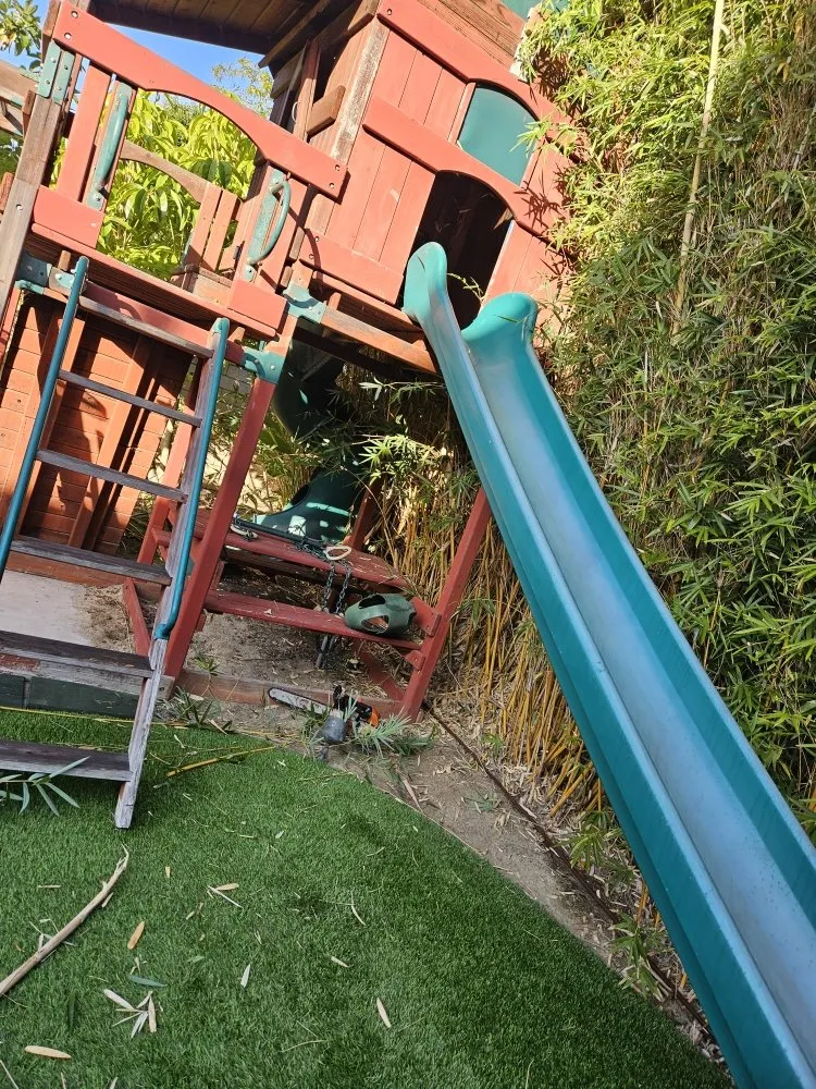 Affordable garden landscaping in Lake Elsinore, CA - Victorias Landscaping and Trees Service