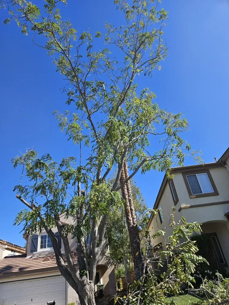 Top-rated landscape installation experts serving Lake Elsinore, CA - Victorias Landscaping and Trees Service