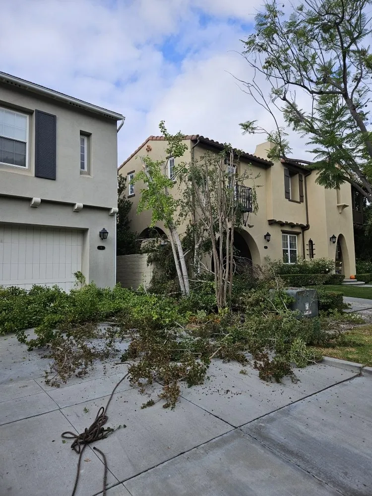 Expert lawn mowing service for beautiful yards across Lake Elsinore, CA - Victorias Landscaping and Trees Service