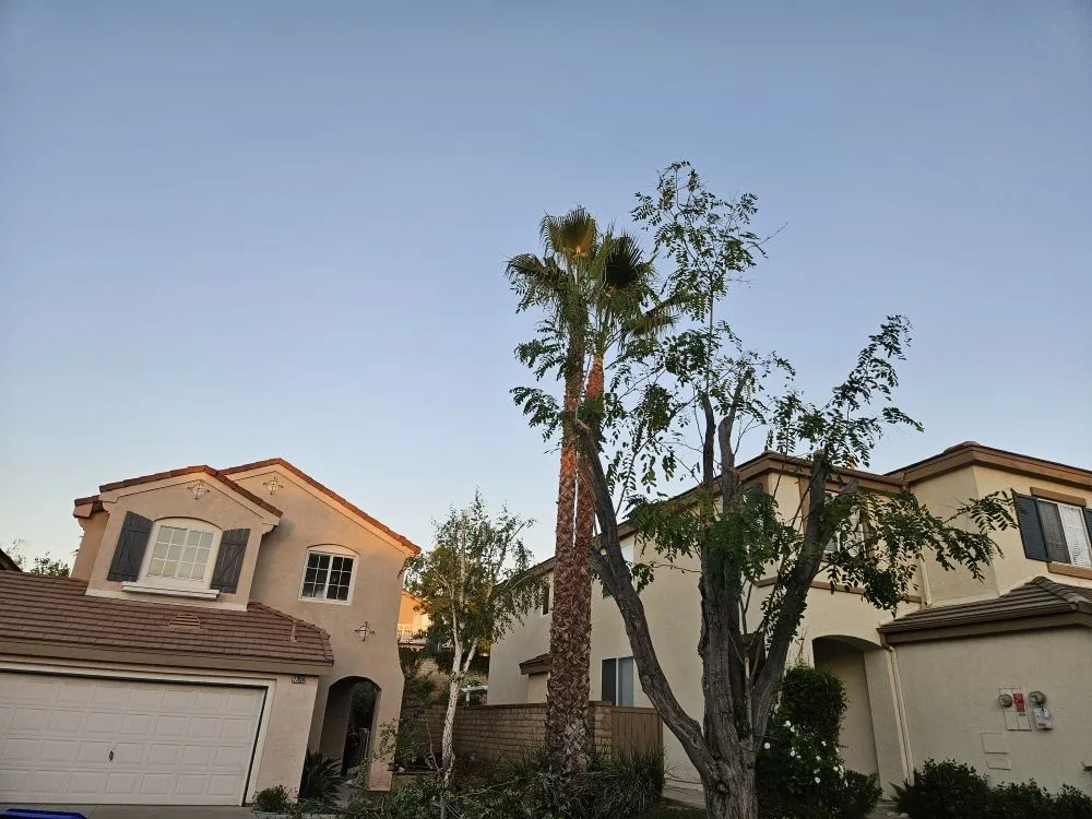 Expert landscape installation experts serving Lake Elsinore, CA - Victorias Landscaping and Trees Service