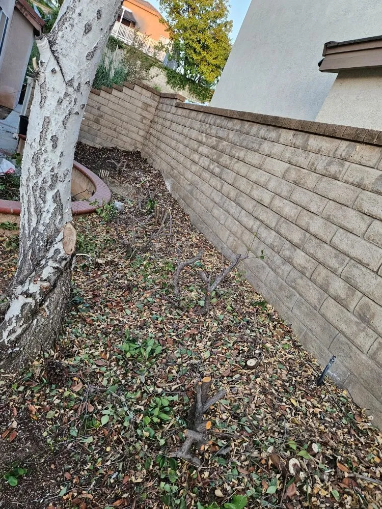 Expert landscaping services in Lake Elsinore, CA - Victorias Landscaping and Trees Service