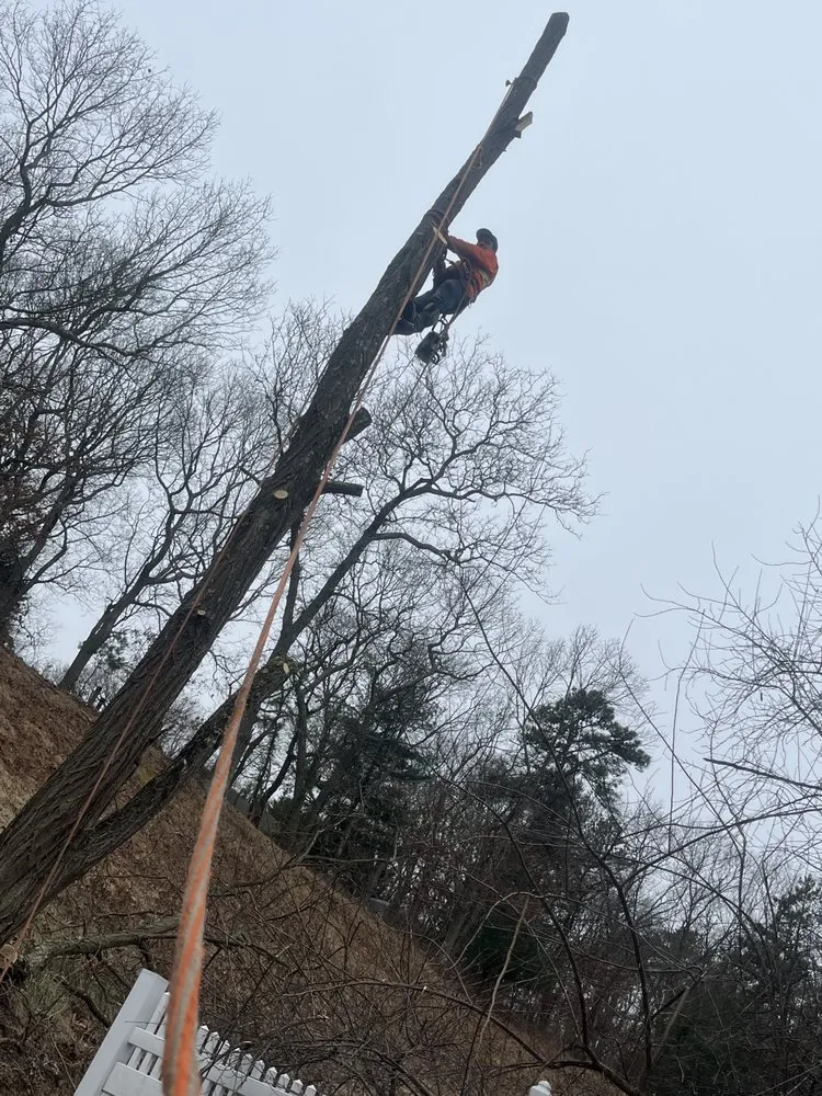 Trusted landscape design in Brentwood, NY by Victorio Tree Service & Landscaping