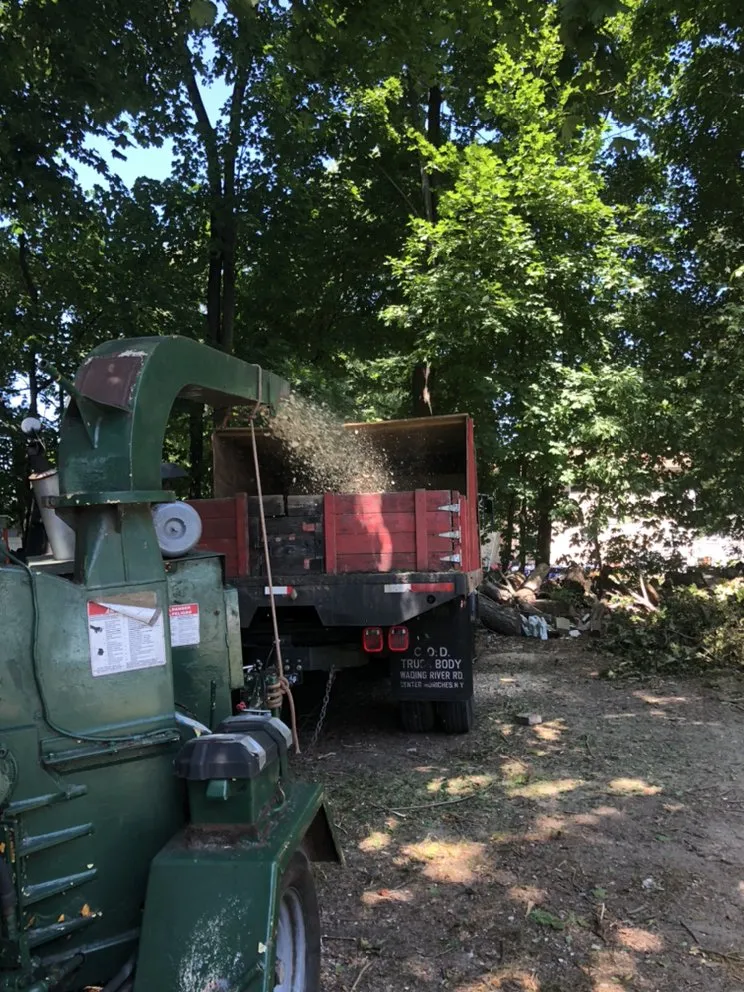 Expert landscape design with custom design across Brentwood, NY - Victorio Tree Service & Landscaping