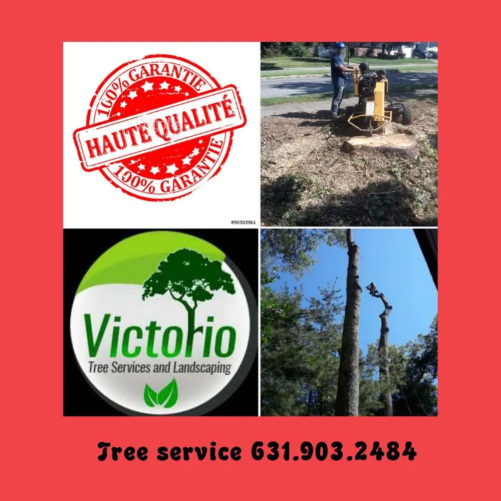 Professional landscaping services for homes in Brentwood, NY by Victorio Tree Service & Landscaping
