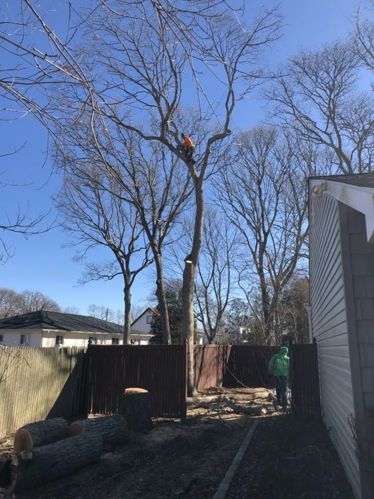 Expert lawn care service in Brentwood, NY - Victorio Tree Service & Landscaping