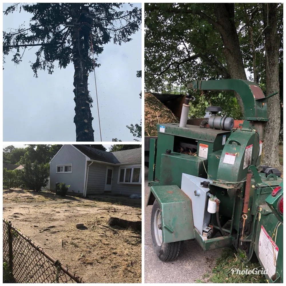 Affordable landscape design in Brentwood, NY - Victorio Tree Service & Landscaping