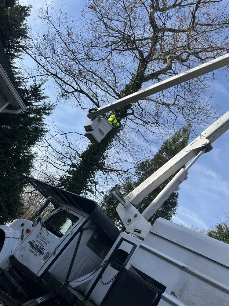 Affordable landscape installation for homes across Brentwood, NY - Victorio Tree Service & Landscaping