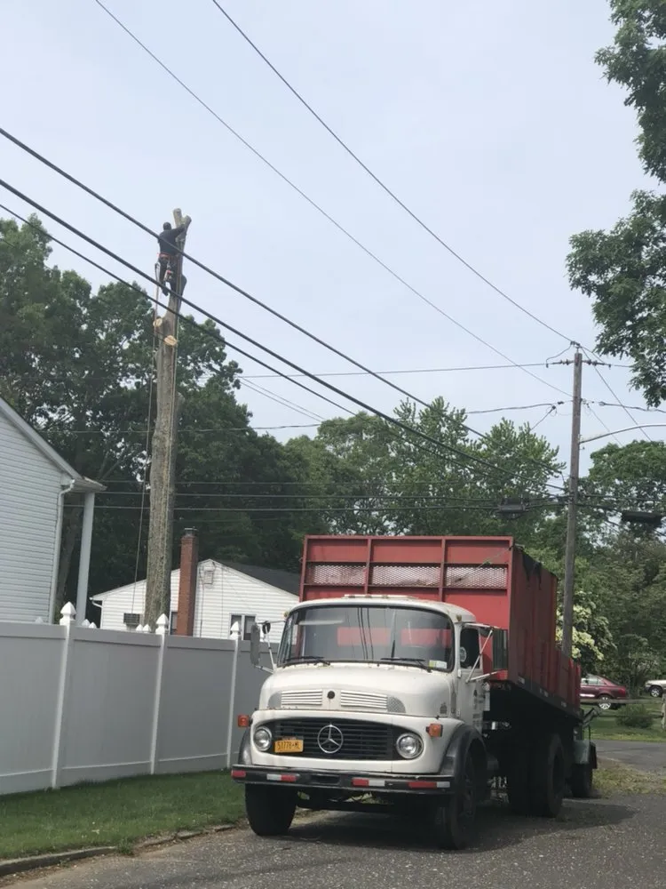 Expert yard cleanup service near you across Brentwood, NY - Victorio Tree Service & Landscaping