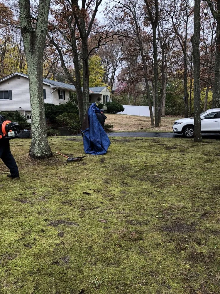 Custom landscape installation experts serving Brentwood, NY - Victorio Tree Service & Landscaping