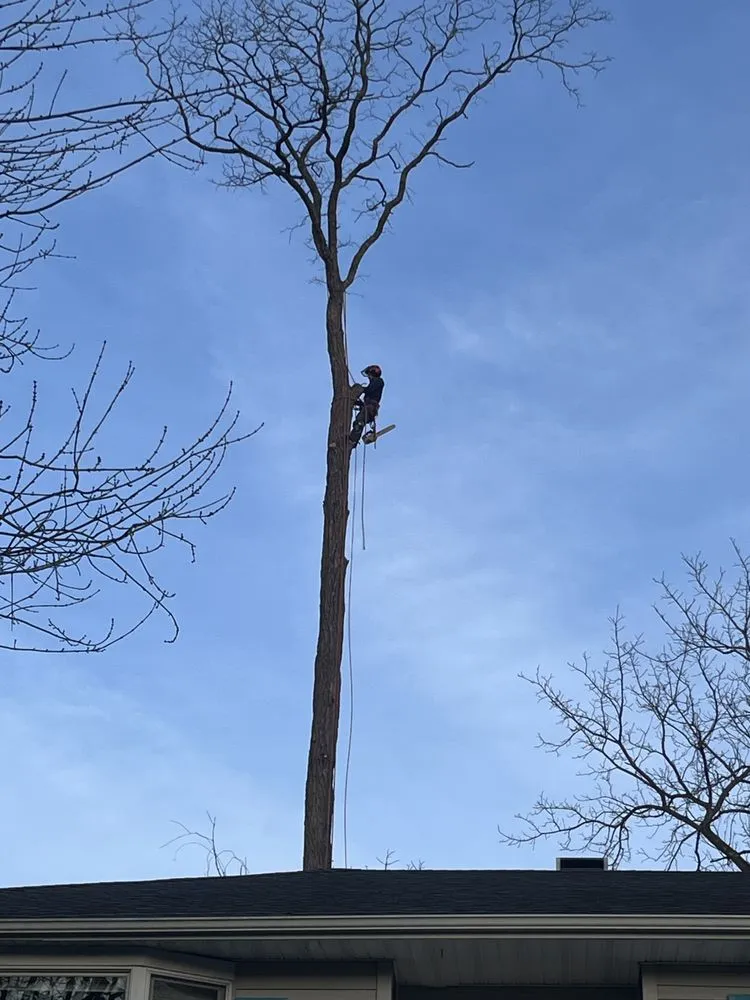 Custom lawn mowing service in Brentwood, NY - Victorio Tree Service & Landscaping