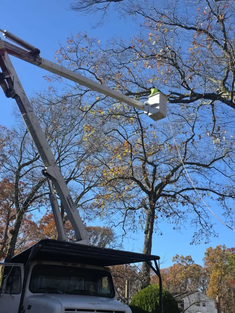 Local landscape design in Brentwood, NY - Victorio Tree Service & Landscaping