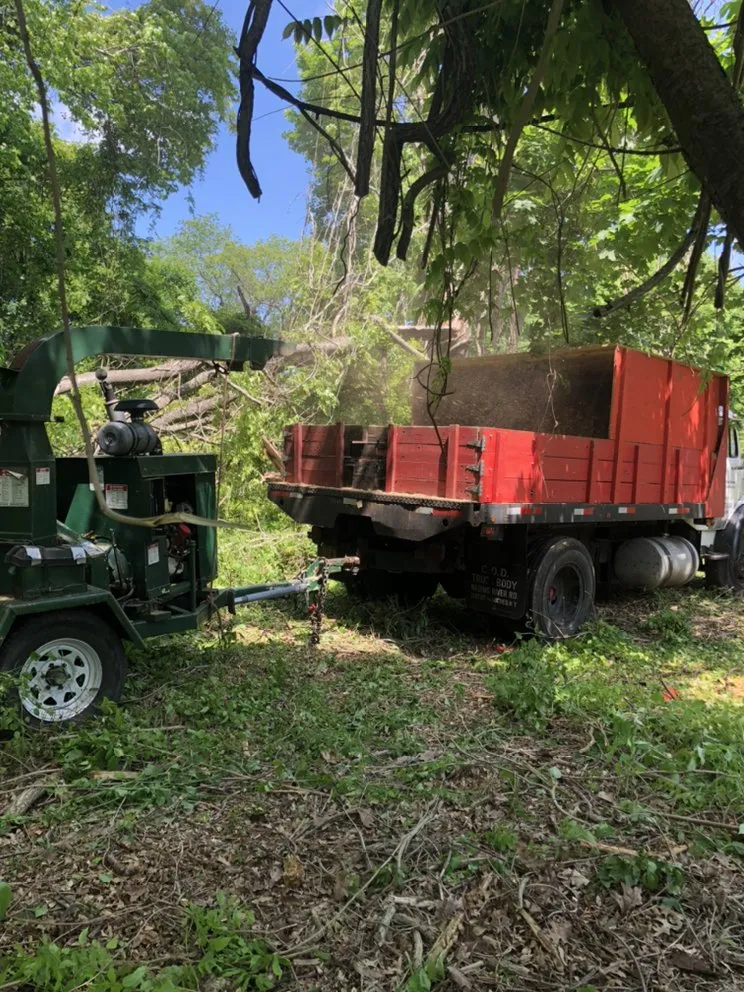 Top-rated lawn care service in Brentwood, NY by Victorio Tree Service & Landscaping