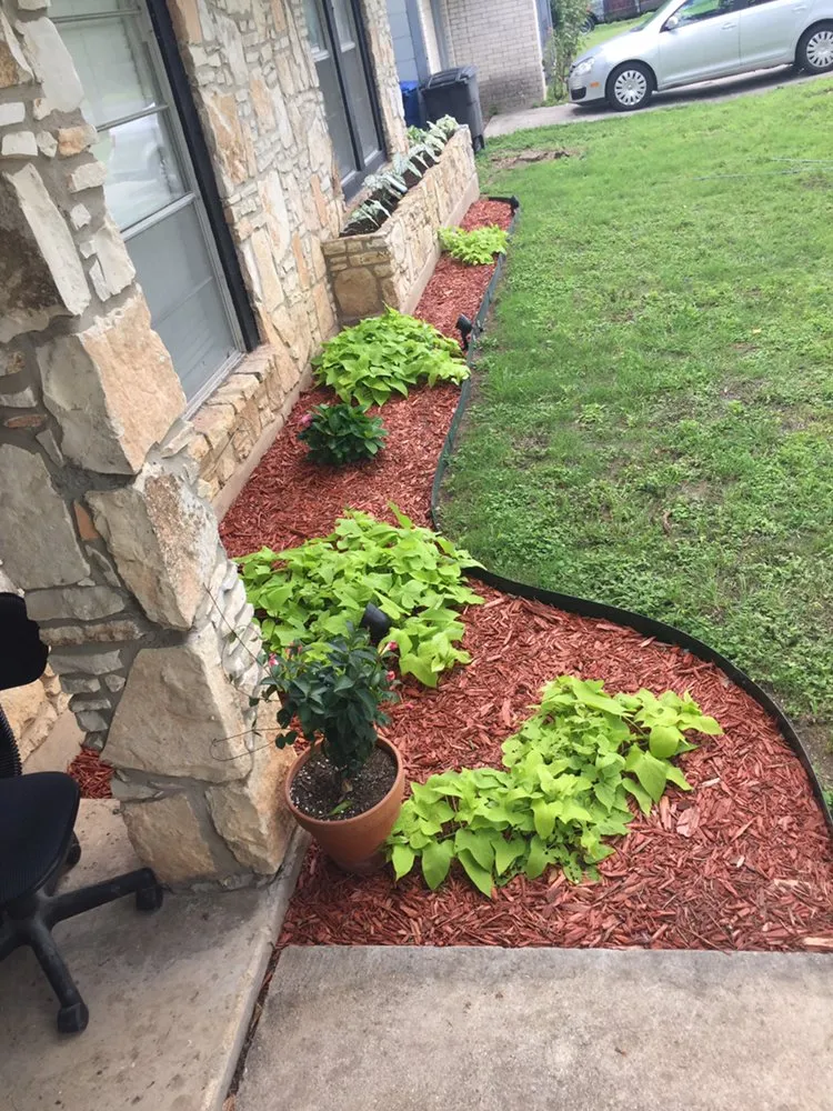 Affordable outdoor landscaping in San Antonio, TX - Victorious in Vines Landscaping & Tree Service