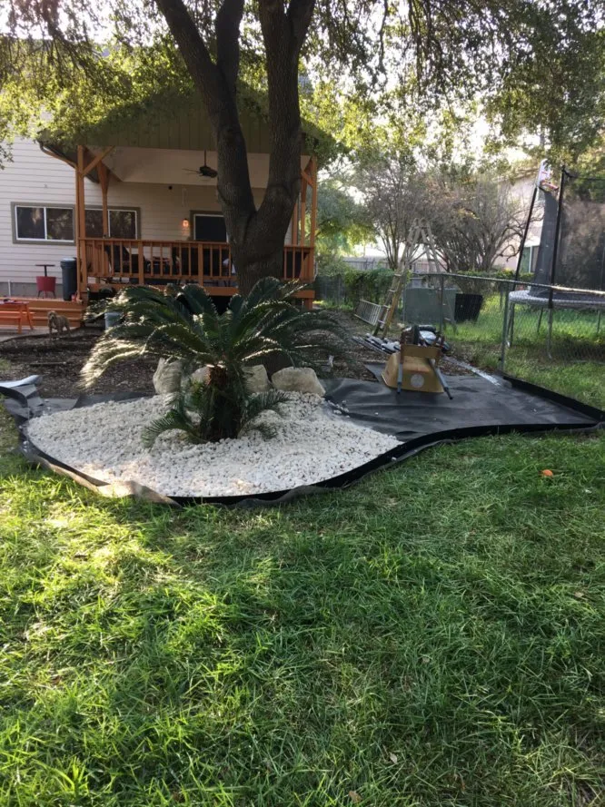 Custom lawn care service in San Antonio, TX by Victorious in Vines Landscaping & Tree Service