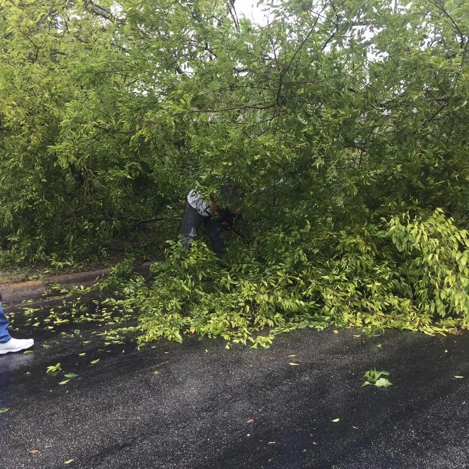 Professional landscape installation near you in San Antonio, TX by Victorious in Vines Landscaping & Tree Service