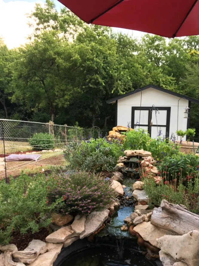 Custom landscape design for year-round maintenance across San Antonio, TX - Victorious in Vines Landscaping & Tree Service