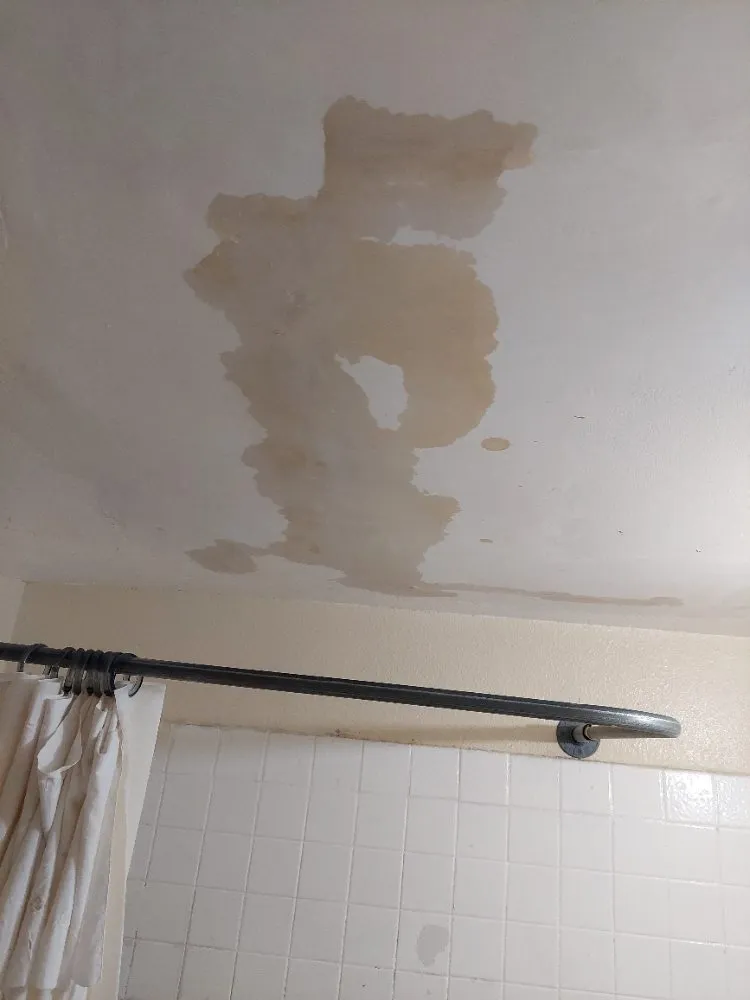 Reliable lawn mowing service experts serving Los Angeles, CA - Victorres Landscaping Services