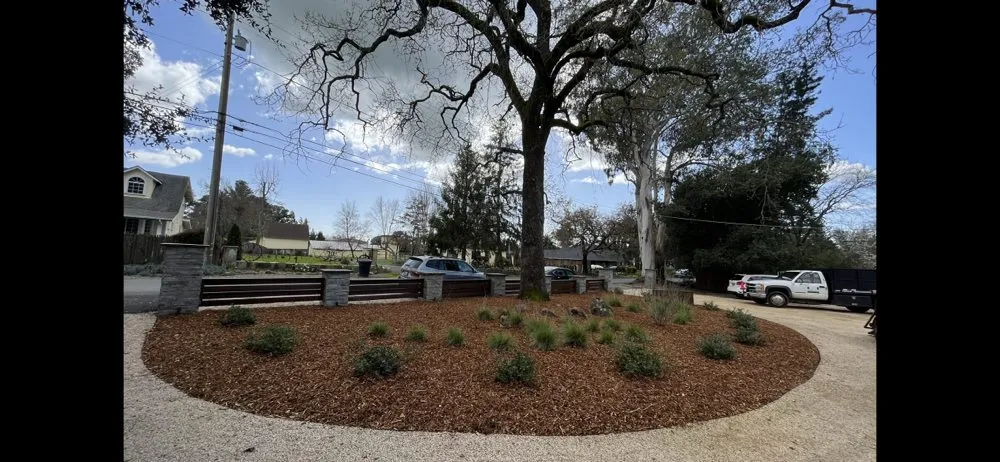 Reliable residential landscaping in Sonoma, CA - Victor's Clean Ups & Landscaping