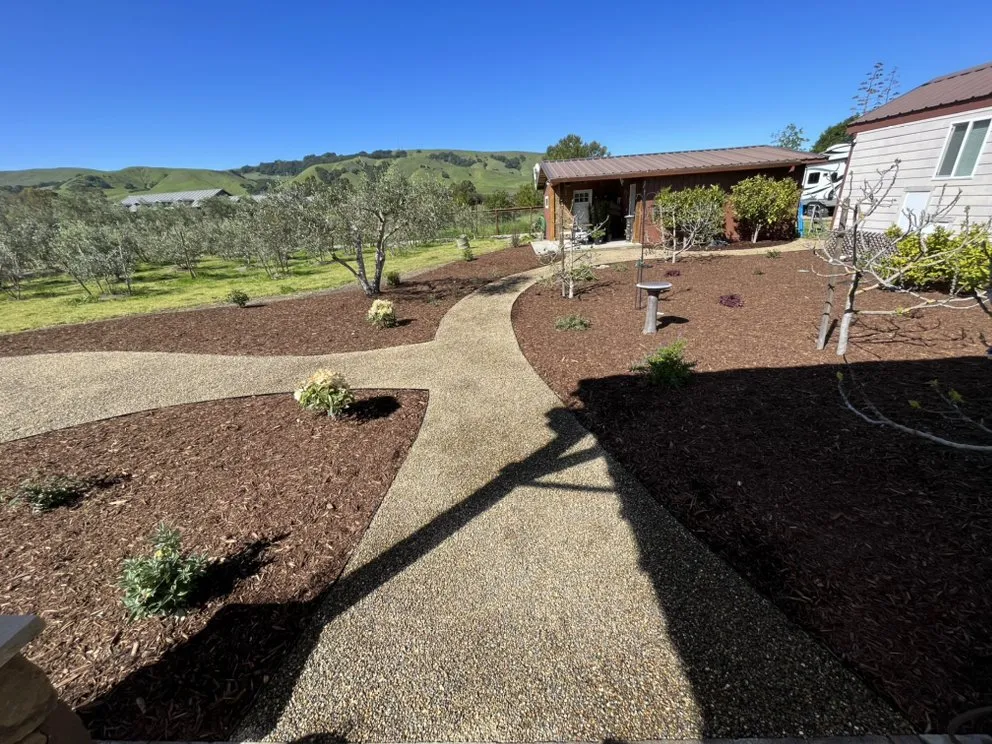 Local landscaping services in Sonoma, CA - Victor's Clean Ups & Landscaping