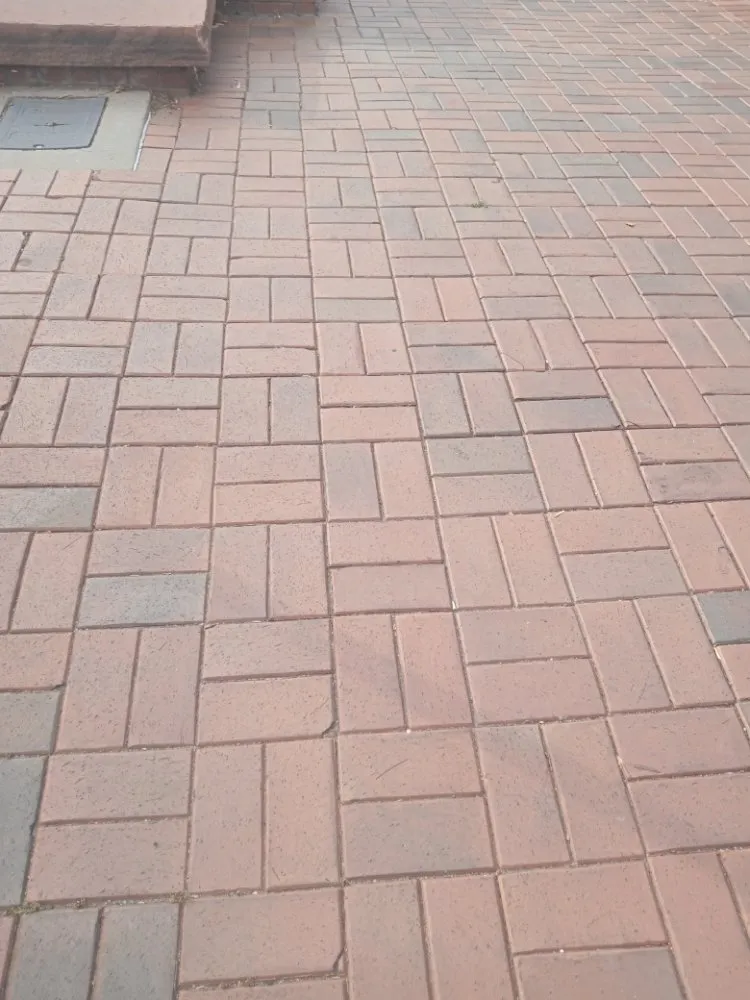 Expert residential landscaping for outdoor upgrades in Denver, CO by Victors Landscape 303