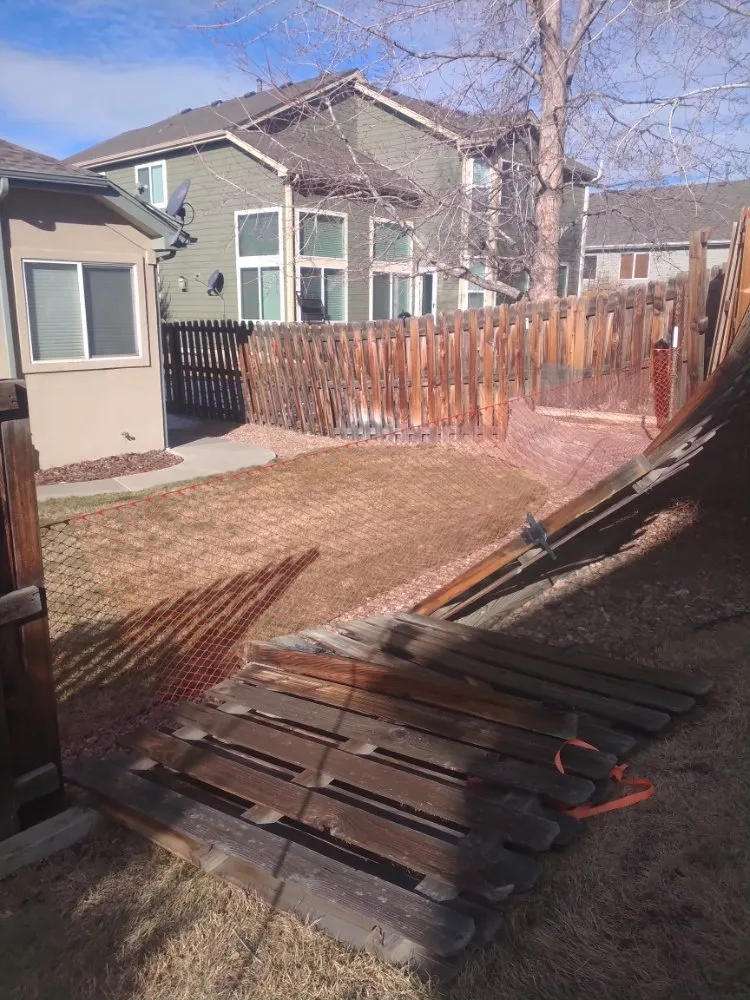 Top-rated landscaping services for outdoor upgrades in Denver, CO by Victors Landscape 303