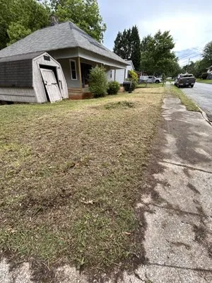 Victor’s Landscape