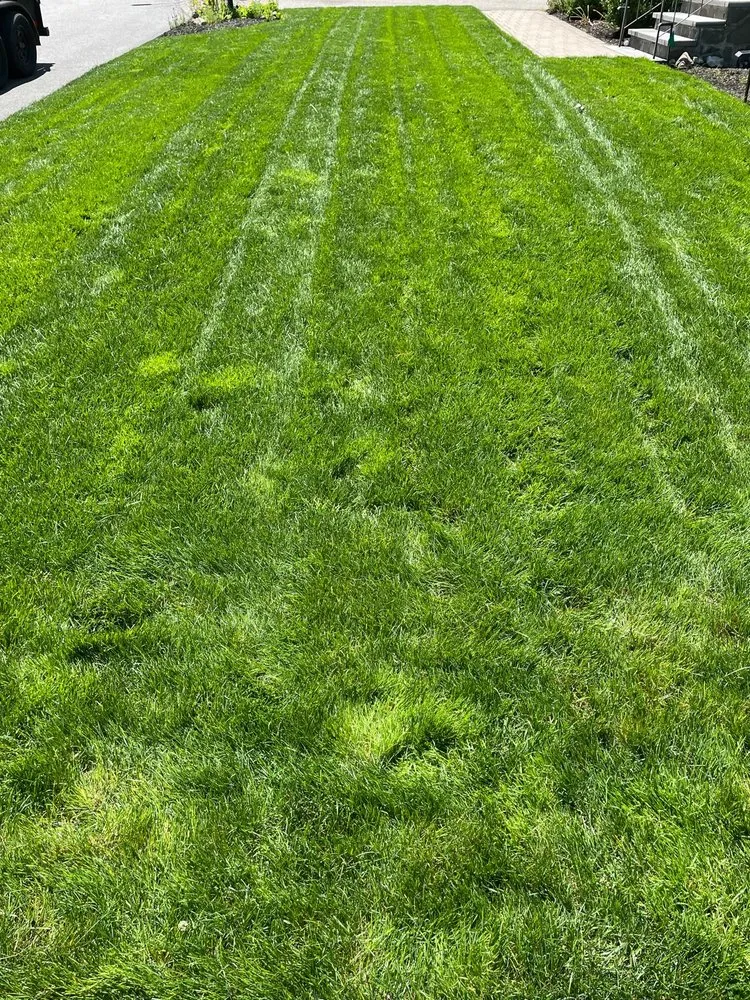 Professional yard maintenance in Woburn, MA - Victor’s Landscaping & Construction