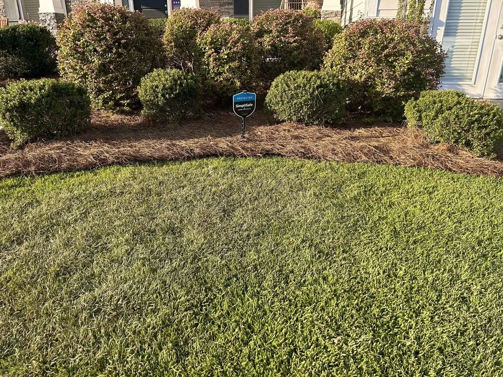 Local landscape design experts serving Aberdeen, NC - Victor’s Landscaping