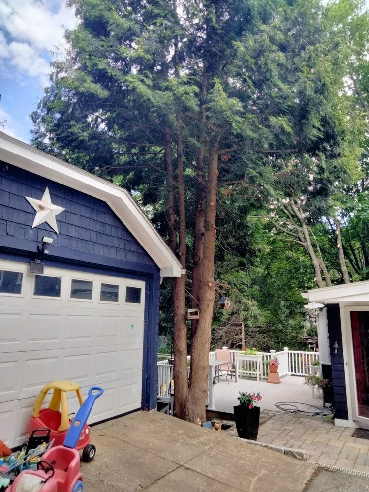 Local residential landscaping for year-round maintenance across Smithfield, RI - Victor's Landscaping and Tree Service