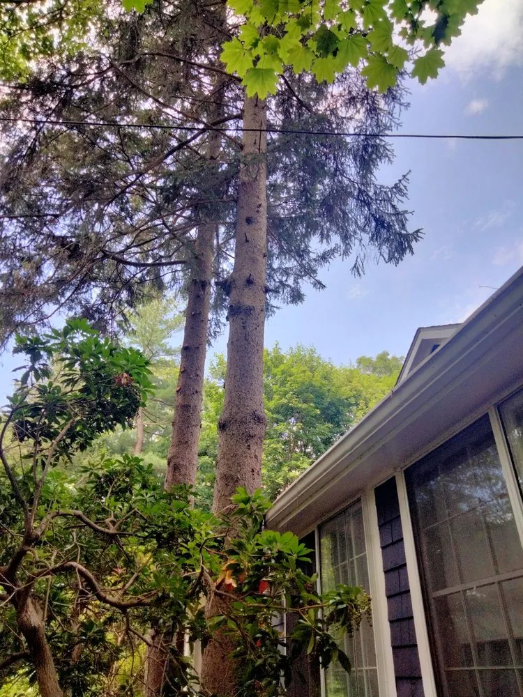 Reliable landscape installation for outdoor upgrades in Smithfield, RI by Victor's Landscaping and Tree Service