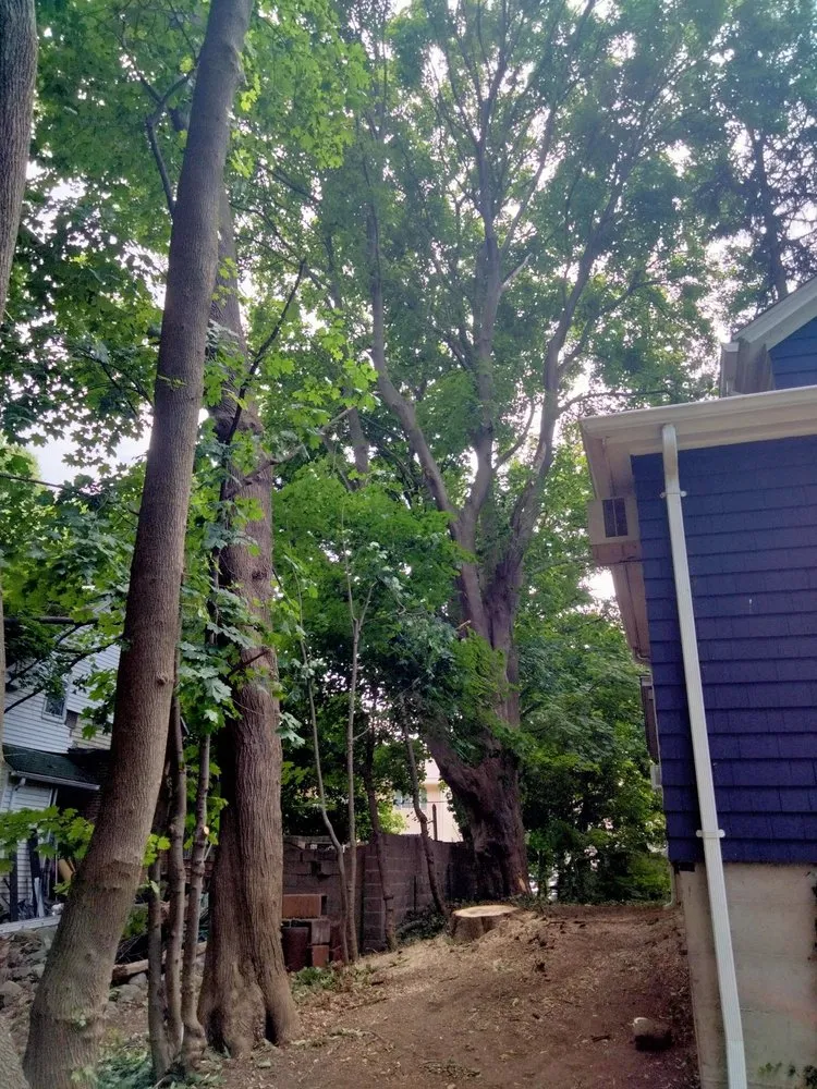 Professional yard cleanup service with custom design in Smithfield, RI by Victor's Landscaping and Tree Service