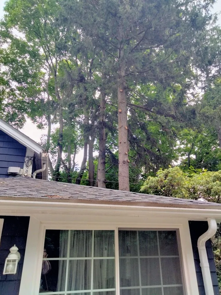 Affordable landscape design experts serving Smithfield, RI - Victor's Landscaping and Tree Service