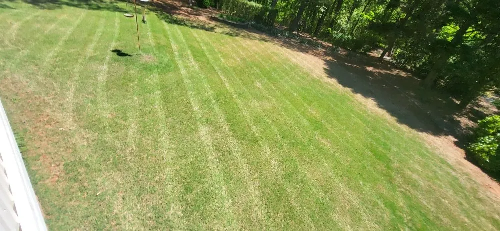 Expert landscape design in Cumming, GA by Victor's Landscaping