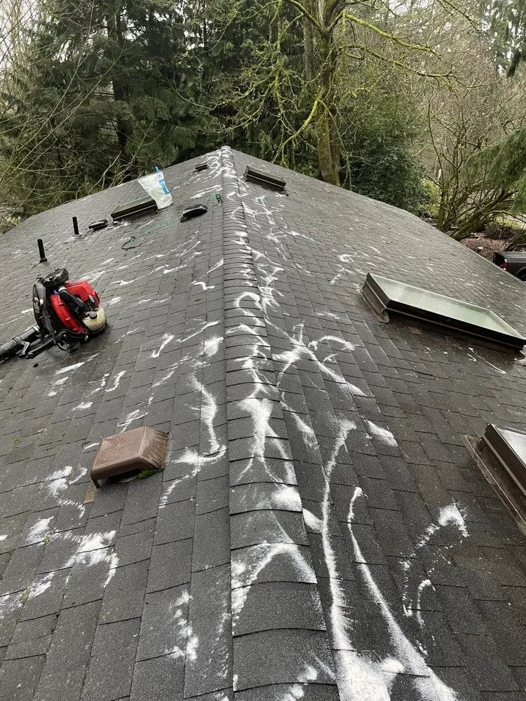 Professional outdoor landscaping for beautiful yards across Everett, WA - Victors Landscaping