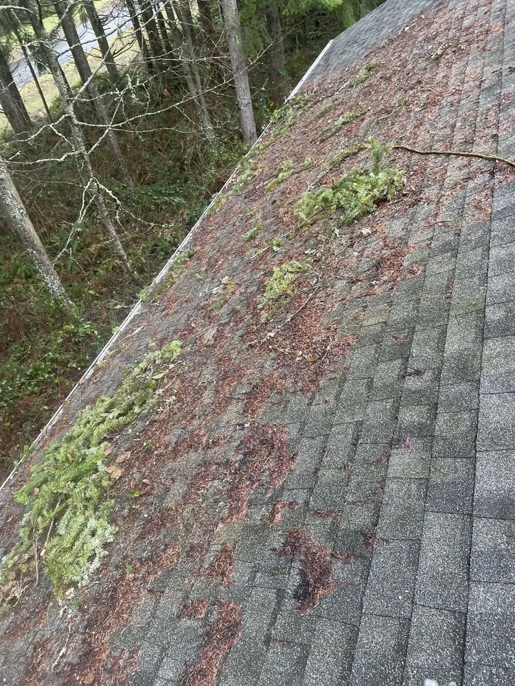 Affordable landscape installation in Everett, WA - Victors Landscaping