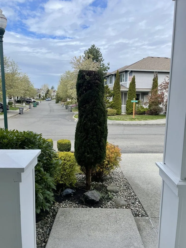 Custom landscaping services in Everett, WA - Victors Landscaping